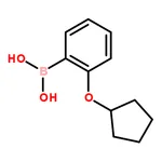 RHAWN 2-(Cyclopentyloxy)phenylboronic acid