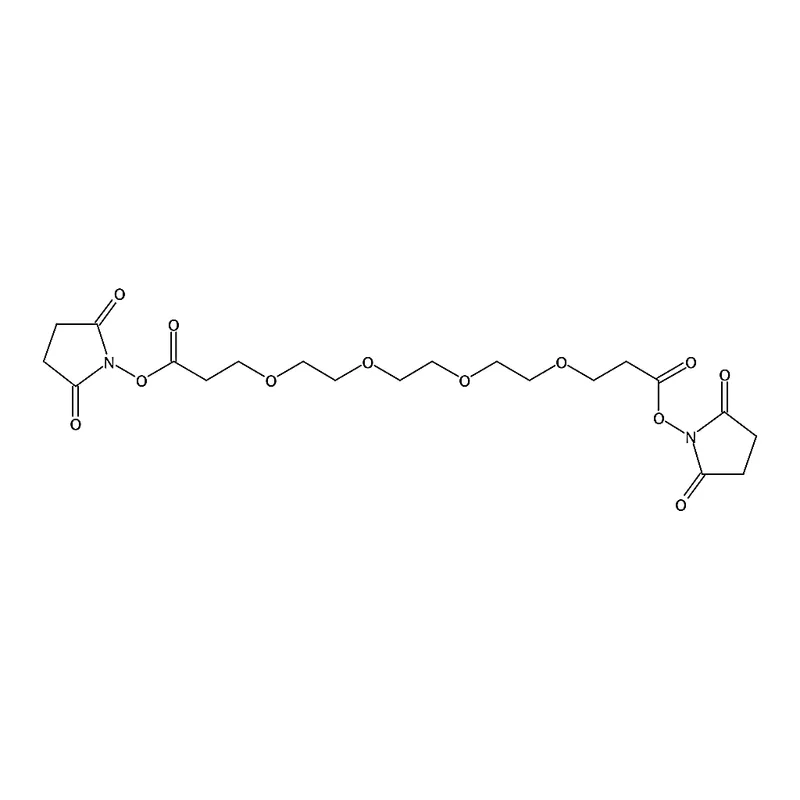 RHAWN Bis(2,5-dioxopyrrolidin-1-yl) 4,7,10,13-tetraoxahexadecane-1,16-dioate