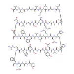 RHAWN Amyloid Protein Fragment 1-40