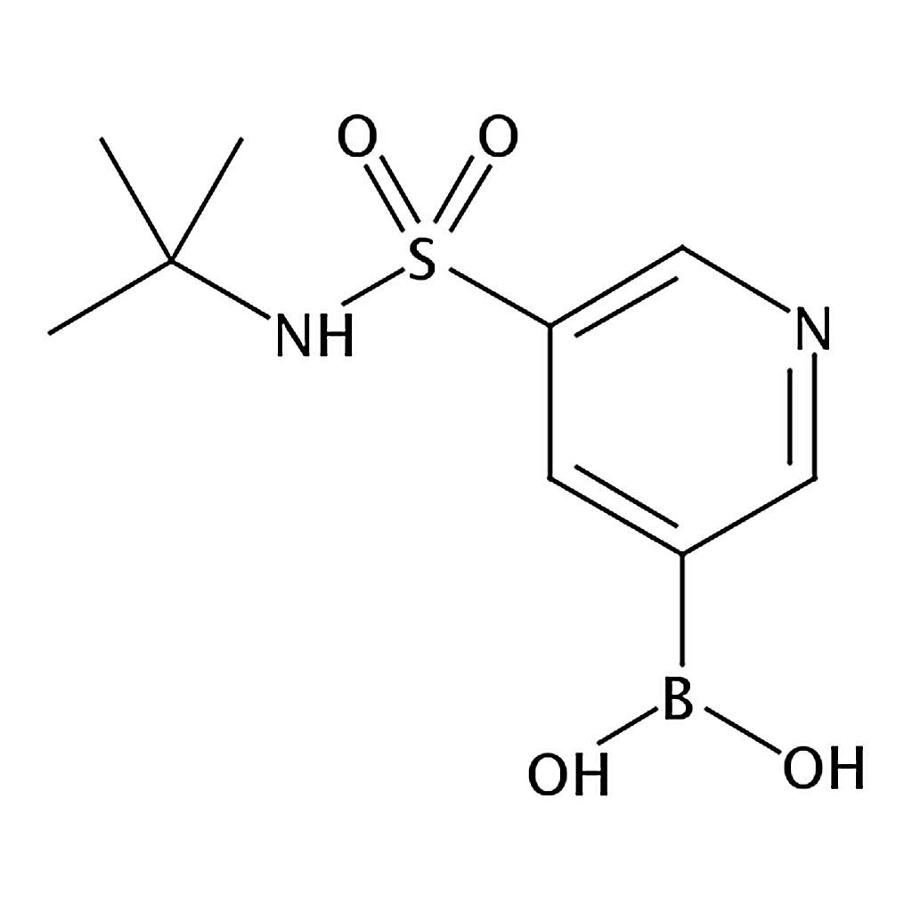 RHAWN (5-(N-(tert-Butyl)sulfamoyl)pyridin-3-yl)boronic acid