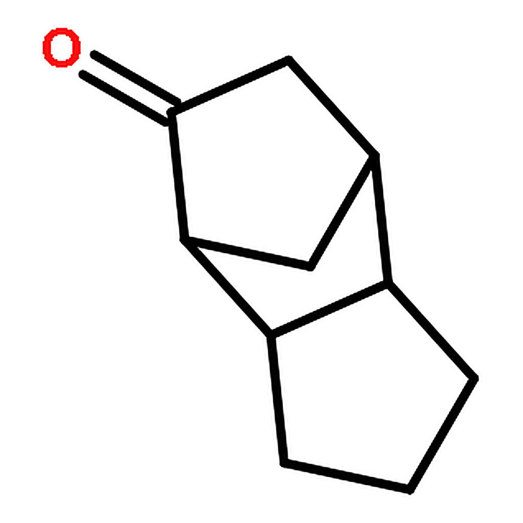 RHAWN Tricyclo[5.2.1.0<sup>2,6</sup>]decan-8-one