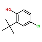 RHAWN 2-(tert-Butyl)-4-chlorophenol