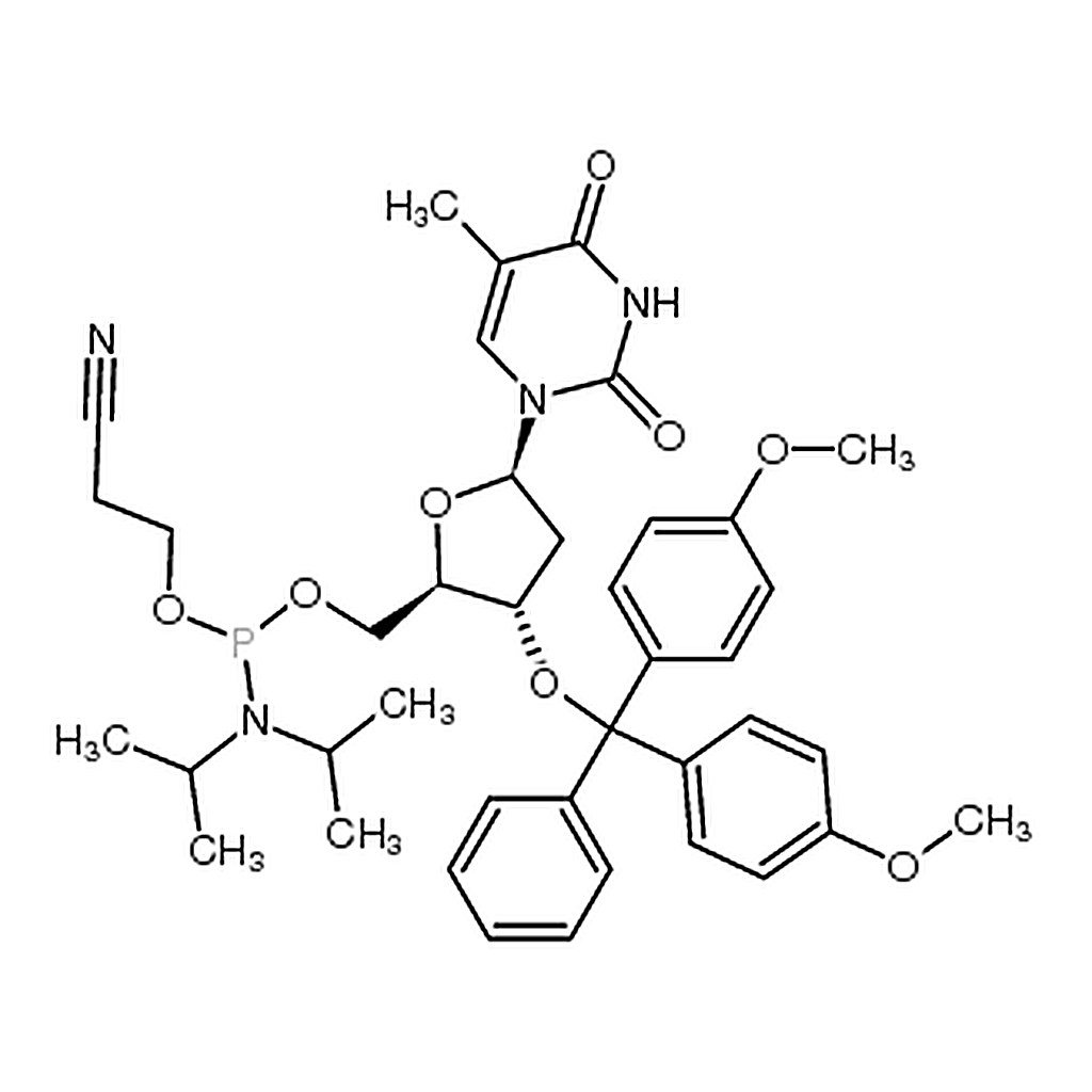 RHAWN 5'-O-[(Diisopropylamino)-(2-cyanoethoxy)phosphinyl]-3'-O-(4,4'-dimethoxytrityl)thymidine