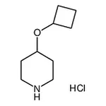 RHAWN 4-Cyclobutoxypiperidine hydrochloride