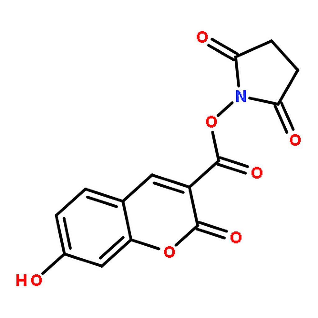 RHAWN <i>N</i>-Succinimidyl 7-Hydroxycoumarin-3-carboxylate