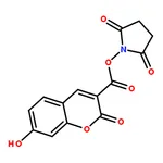 RHAWN <i>N</i>-Succinimidyl 7-Hydroxycoumarin-3-carboxylate