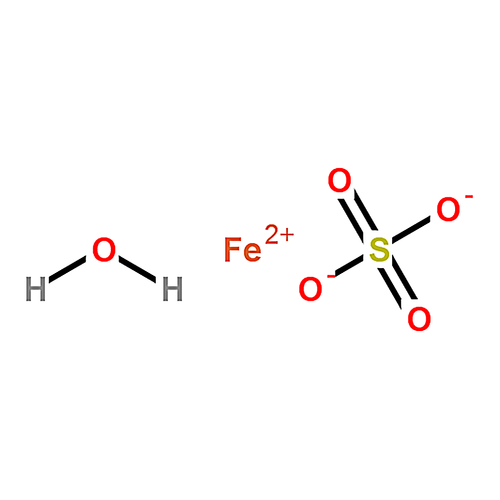 RHAWN Ferrous sulfate monohydrate