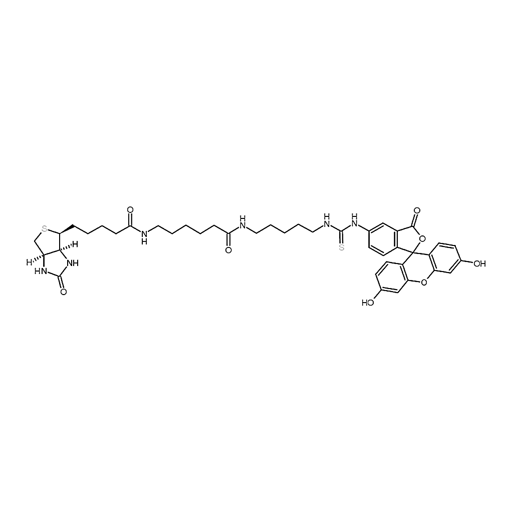 RHAWN Fluorescein biotin [5-((N-(5-(N-(6-(biotinoyl)amino)hexanoyl)amino)pentyl)thioureidyl)fluor