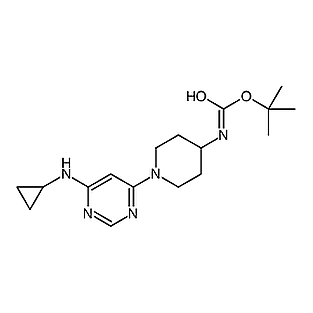 RHAWN tert-Butyl (1-(6-(cyclopropylamino)pyrimidin-4-yl)piperidin-4-yl)carbamate