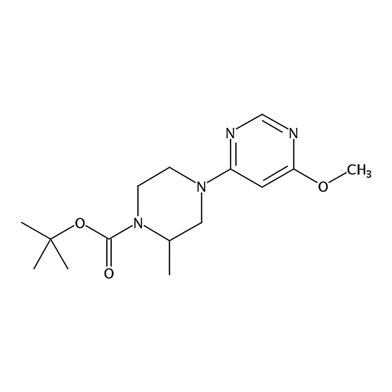 RHAWN tert-Butyl 4-(6-methoxypyrimidin-4-yl)-2-methylpiperazine-1-carboxylate