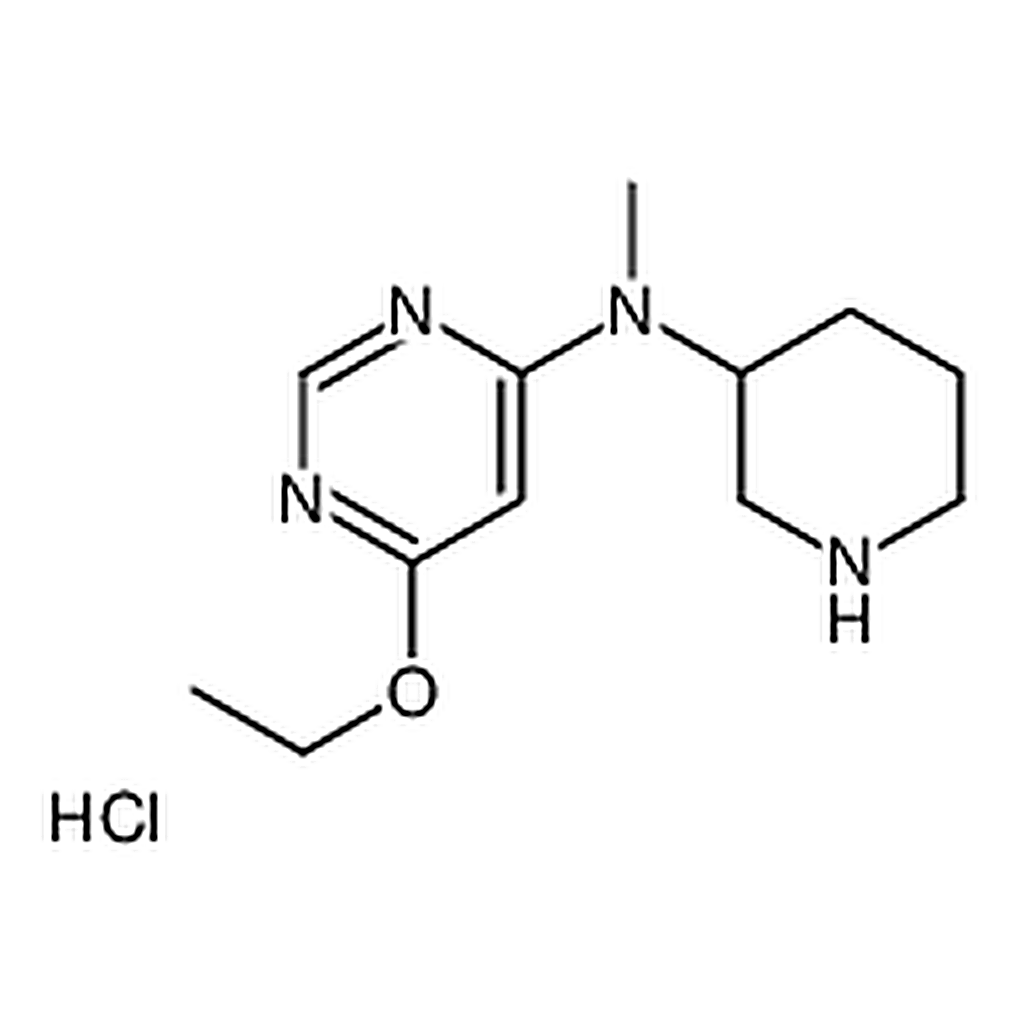 RHAWN 6-Ethoxy-N-methyl-N-(piperidin-3-yl)pyrimidin-4-amine hydrochloride