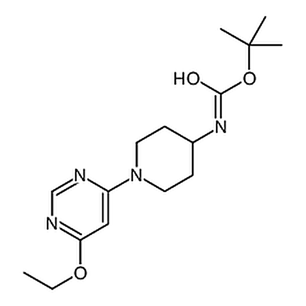 RHAWN tert-Butyl (1-(6-ethoxypyrimidin-4-yl)piperidin-4-yl)carbamate