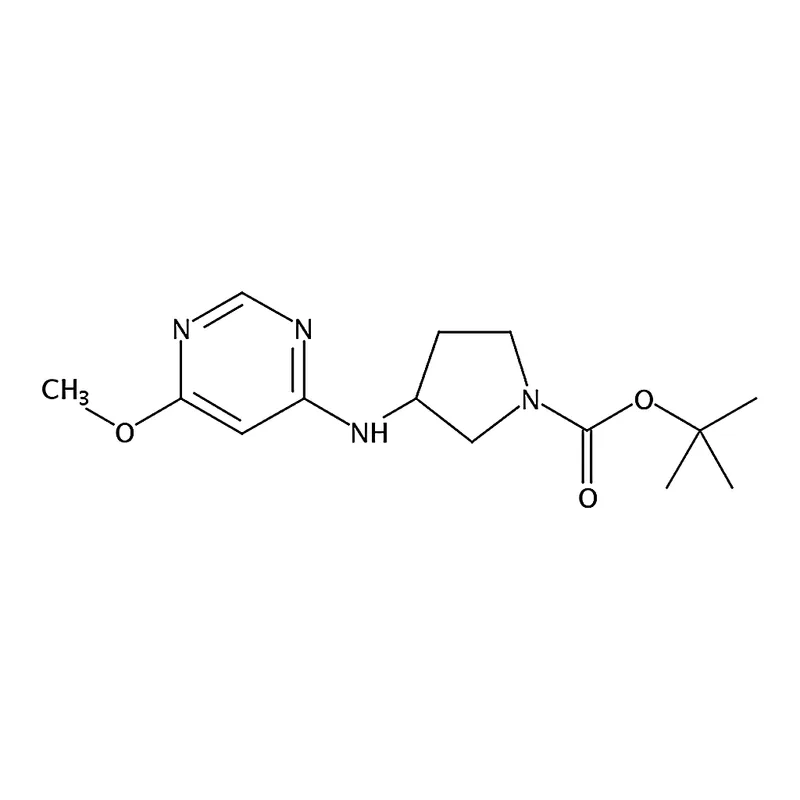 RHAWN tert-Butyl 3-((6-methoxypyrimidin-4-yl)amino)pyrrolidine-1-carboxylate