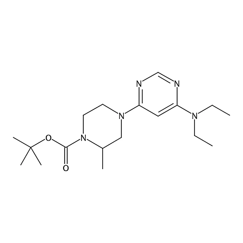 RHAWN tert-Butyl 4-(6-(diethylamino)pyrimidin-4-yl)-2-methylpiperazine-1-carboxylate
