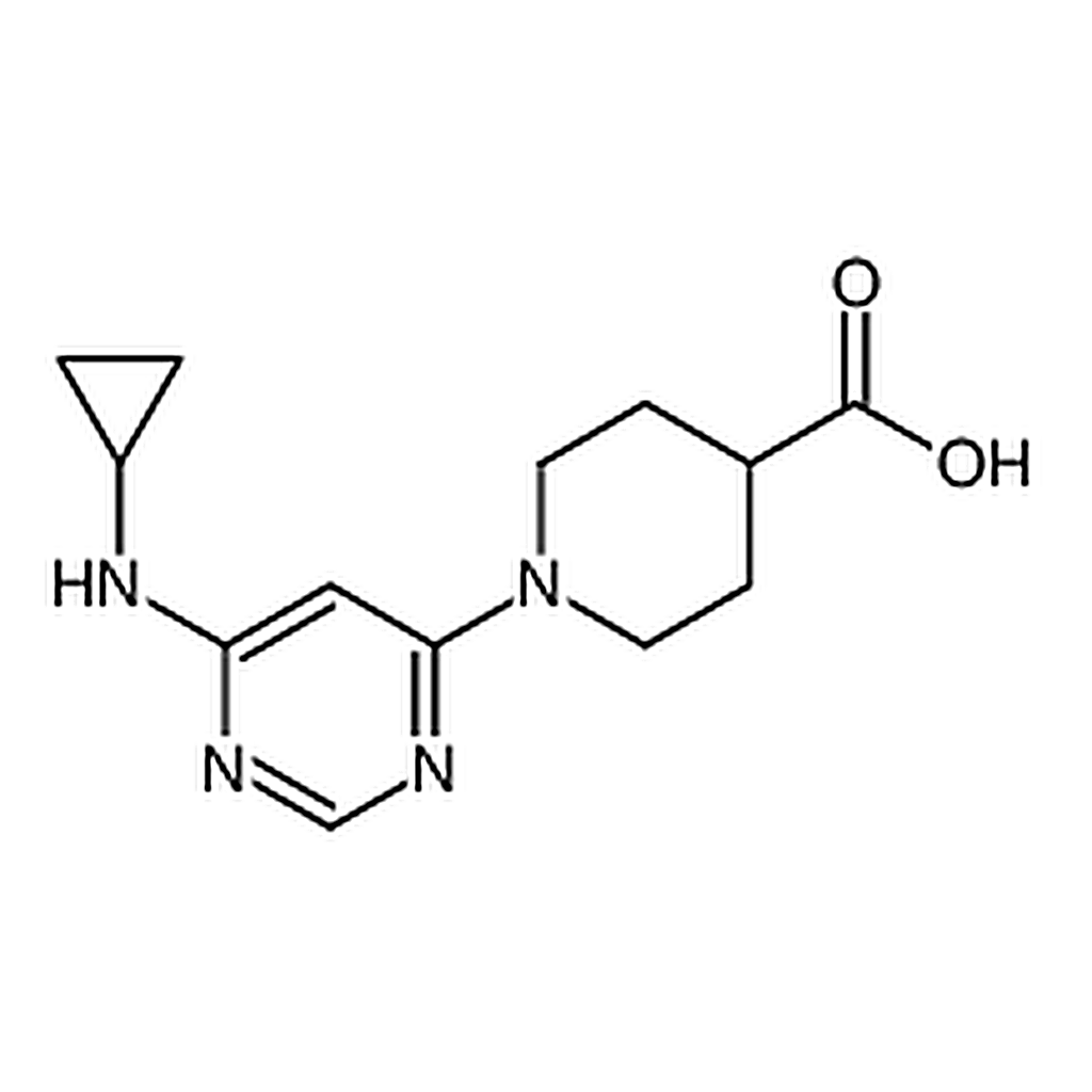 RHAWN 1-(6-(Cyclopropylamino)pyrimidin-4-yl)piperidine-4-carboxylic acid