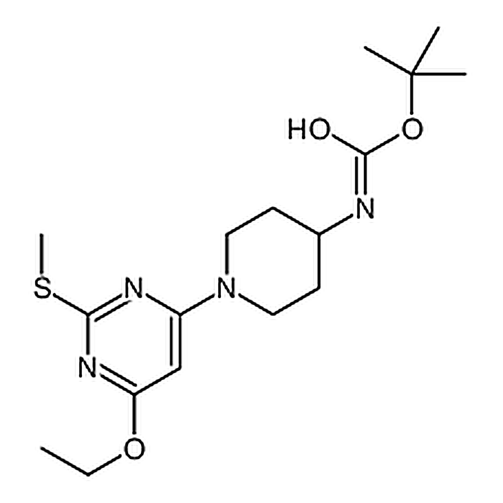 RHAWN tert-Butyl (1-(6-ethoxy-2-(methylthio)pyrimidin-4-yl)piperidin-4-yl)carbamate