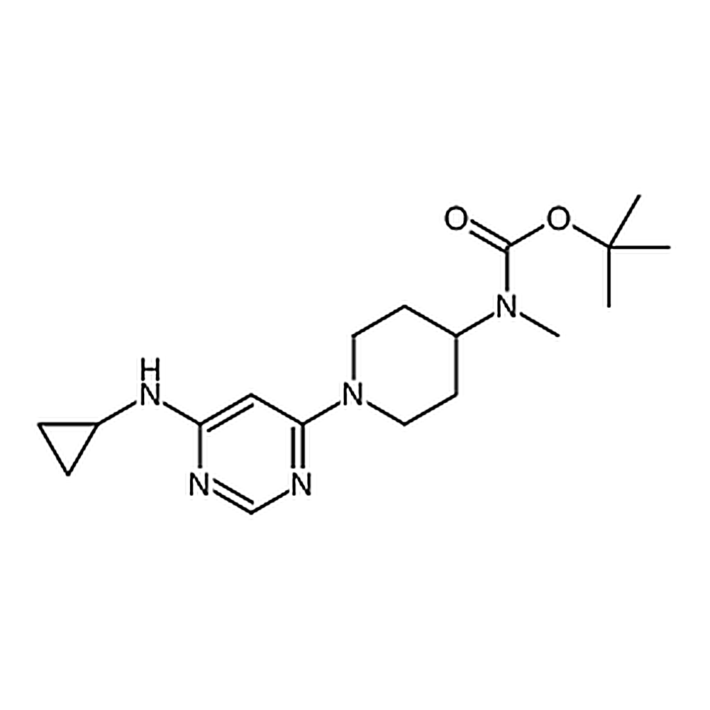 RHAWN tert-Butyl (1-(6-(cyclopropylamino)pyrimidin-4-yl)piperidin-4-yl)(methyl)carbamate