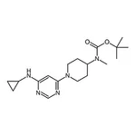 RHAWN tert-Butyl (1-(6-(cyclopropylamino)pyrimidin-4-yl)piperidin-4-yl)(methyl)carbamate
