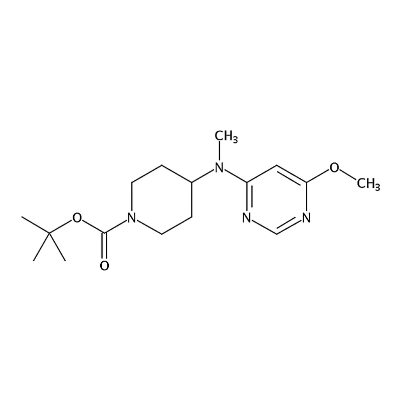 RHAWN tert-Butyl 4-((6-methoxypyrimidin-4-yl)(methyl)amino)piperidine-1-carboxylate