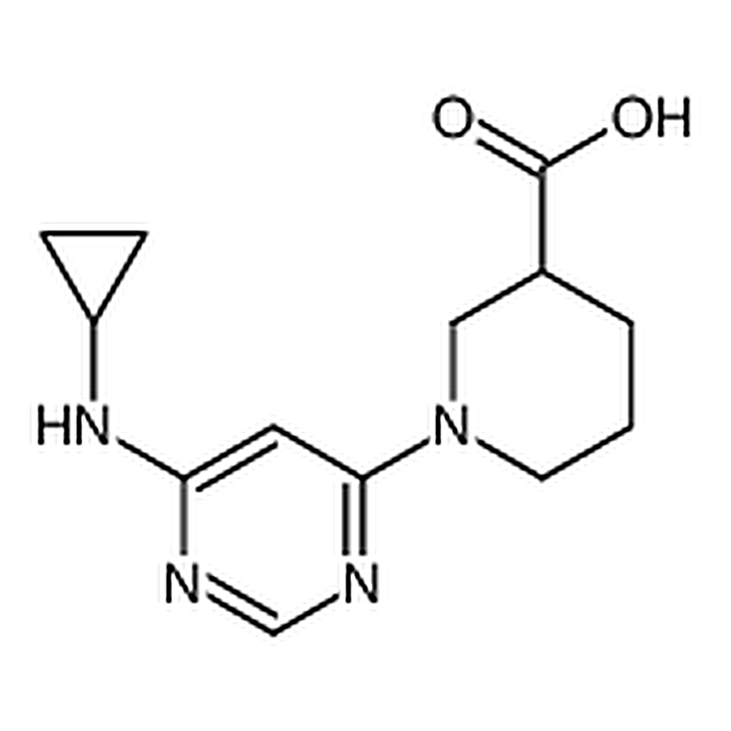 RHAWN 1-(6-(Cyclopropylamino)pyrimidin-4-yl)piperidine-3-carboxylic acid