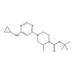 RHAWN tert-Butyl 4-(6-(cyclopropylamino)pyrimidin-4-yl)-2-methylpiperazine-1-carboxylate