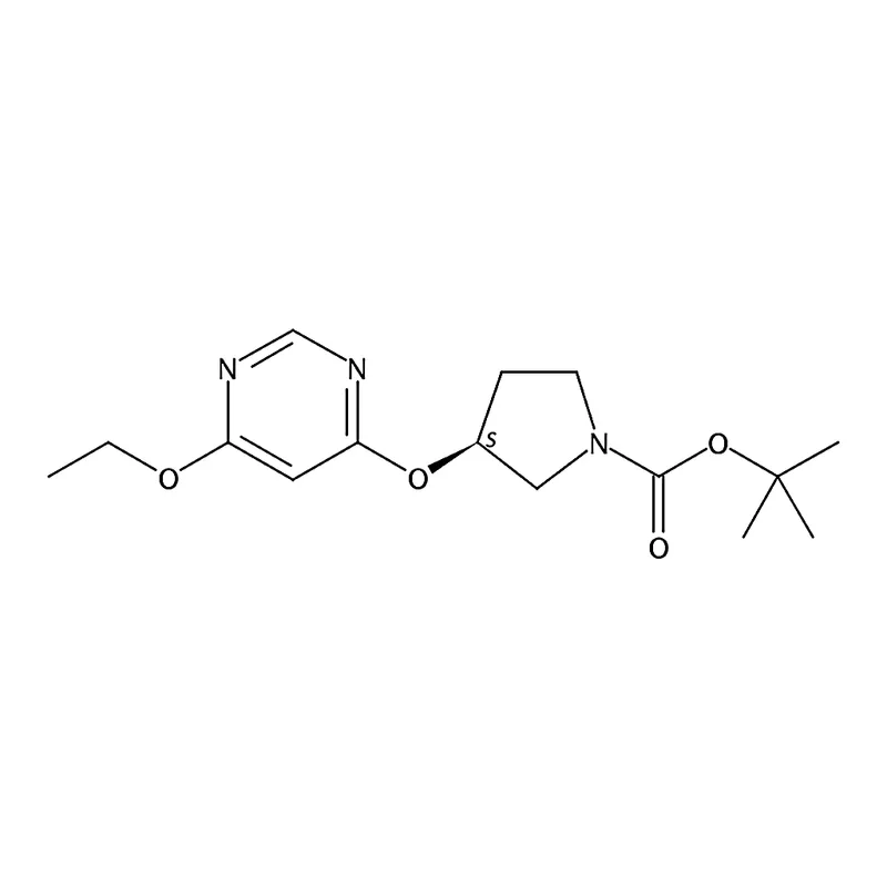 RHAWN (S)-tert-Butyl 3-((6-ethoxypyrimidin-4-yl)oxy)pyrrolidine-1-carboxylate