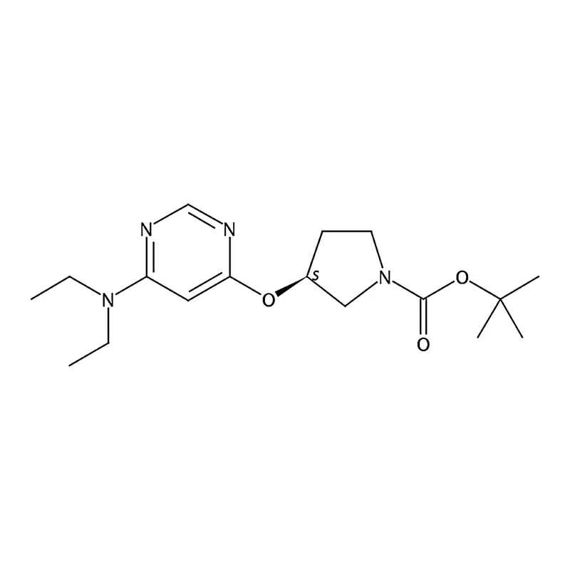 RHAWN (S)-tert-Butyl 3-((6-(diethylamino)pyrimidin-4-yl)oxy)pyrrolidine-1-carboxylate