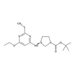 RHAWN (S)-tert-Butyl 3-((6-ethoxy-2-(methylthio)pyrimidin-4-yl)amino)pyrrolidine-1-carboxylate