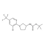 RHAWN tert-Butyl (1-(3-chloro-5-(trifluoromethyl)pyridin-2-yl)pyrrolidin-3-yl)carbamate