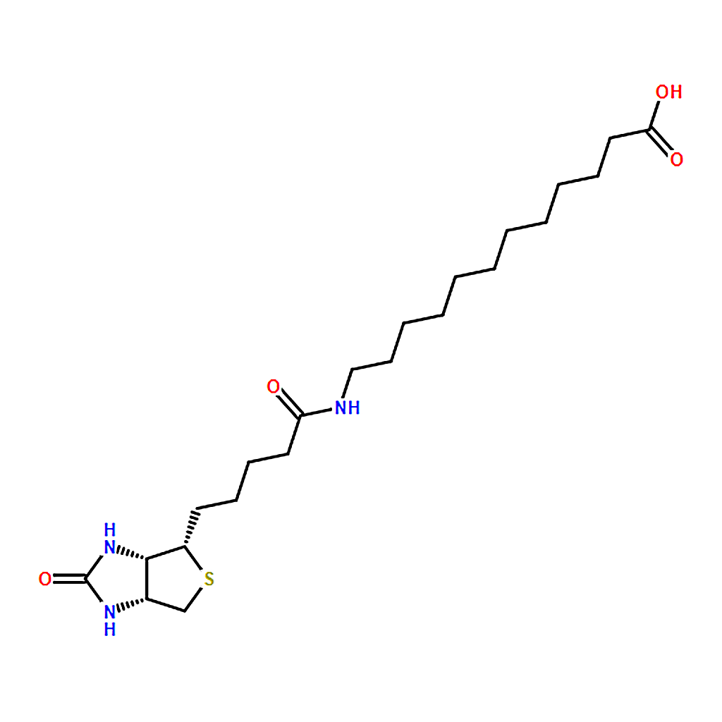 RHAWN N-biotinyl-dodecanoic acid