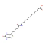 RHAWN N-biotinyl-dodecanoic acid