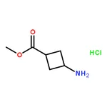 RHAWN Methyl 3-Aminocyclobutanecarboxylate Hydrochloride