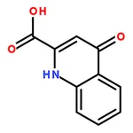 RHAWN 4-Oxo-1,4-dihydroquinoline-2-carboxylic acid