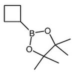 RHAWN 2-cyclobutyl-4,4,5,5-tetramethyl-1,3,2-dioxaborolane