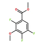 RHAWN Methyl 3-methoxy-2,4,5-trifluorobenzoate