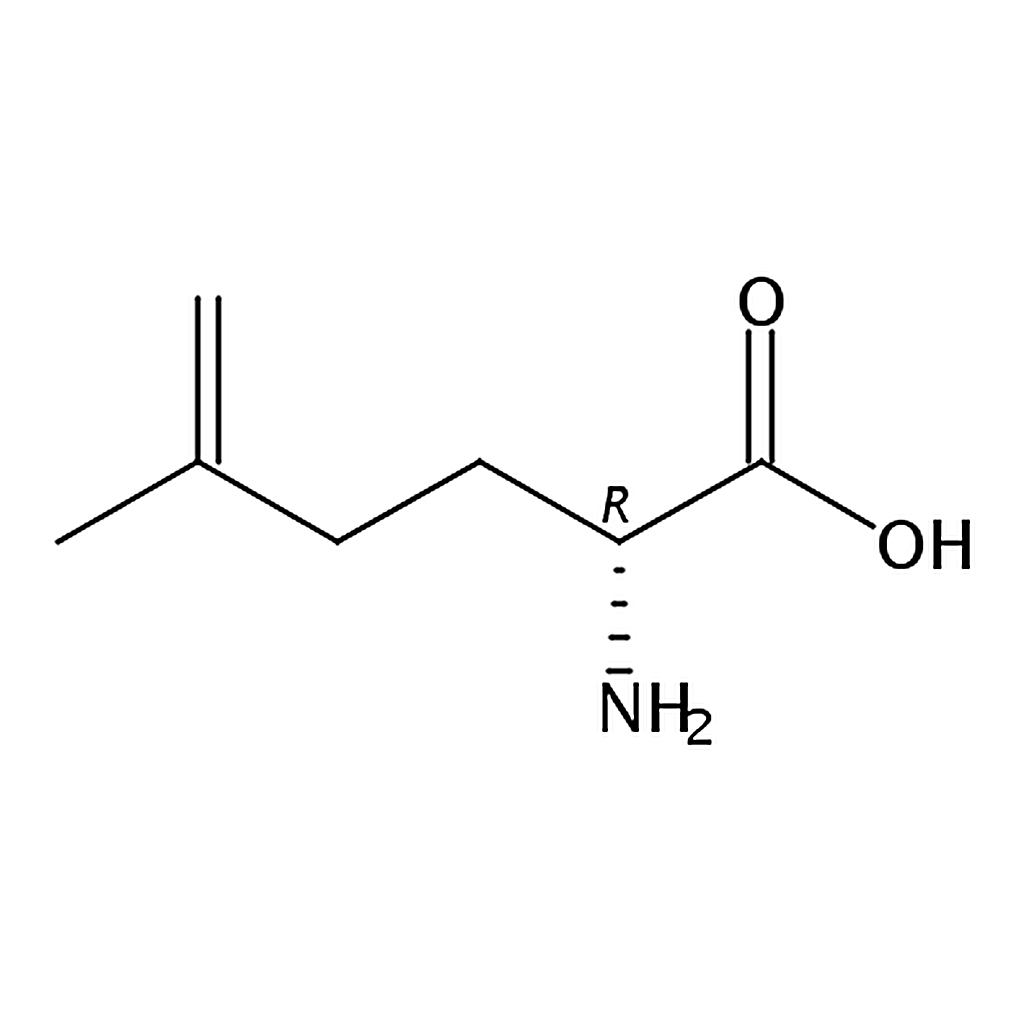 RHAWN (R)-2-Amino-5-methylhex-5-enoic acid