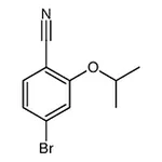 RHAWN 4-Bromo-2-isopropoxybenzonitrile