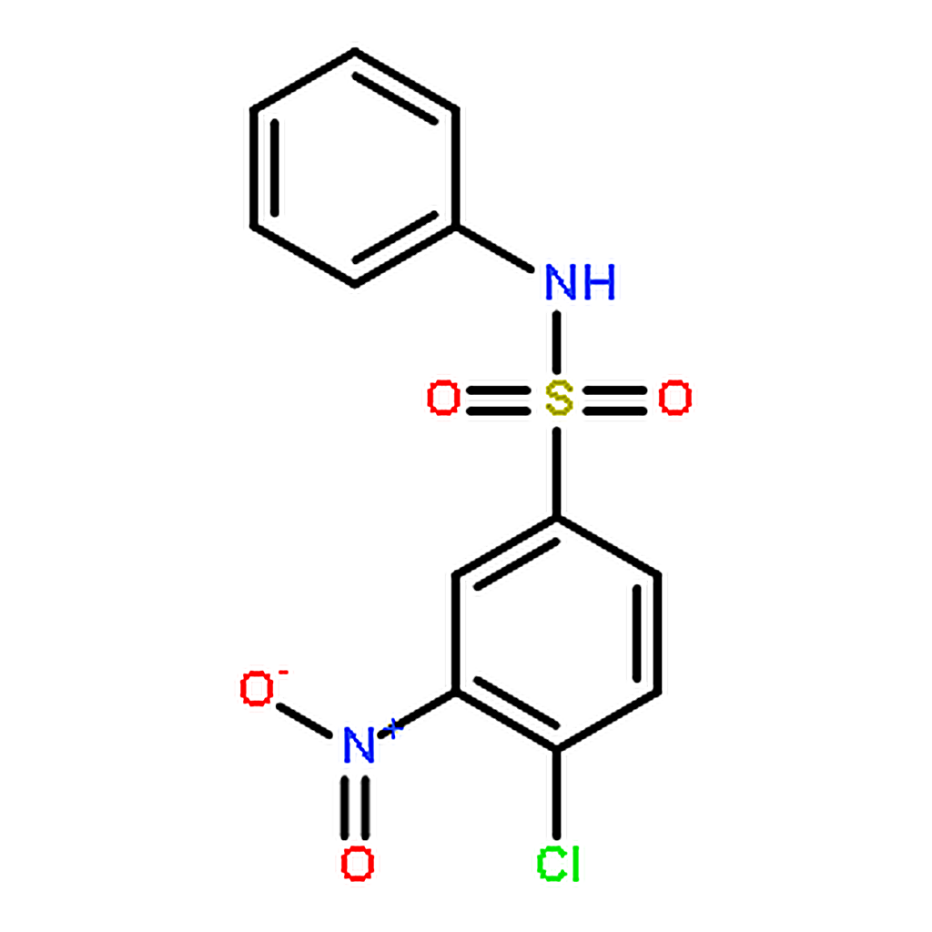 RHAWN 4-Chloro-3-nitro-N-phenylbenzenesulfonamide