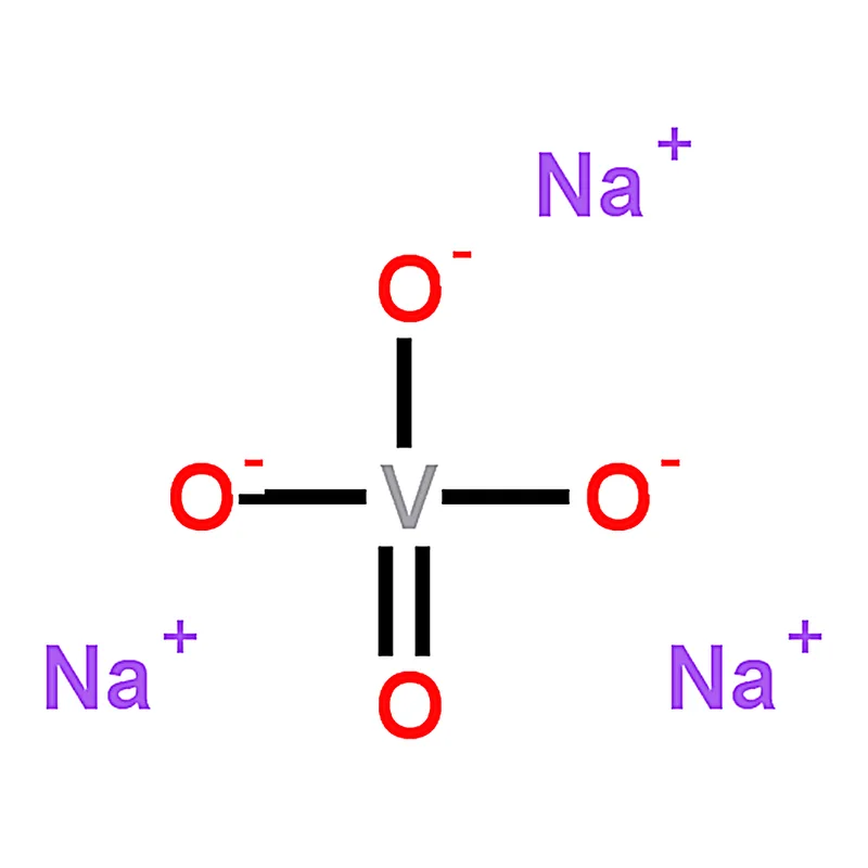 RHAWN Sodium Orthovanadate Solution