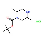 RHAWN (2S,5R)-1-Boc-2,5-dimethylpiperazine hydrochloride