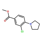 RHAWN Methyl 3-Chloro-4-(1-pyrrolidinyl)benzoate