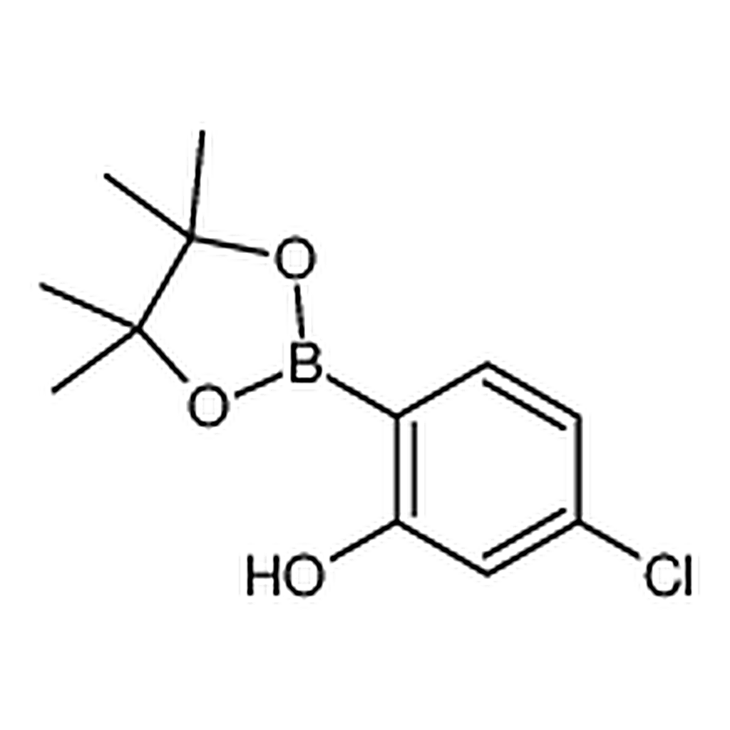 RHAWN 5-Chloro-2-(4,4,5,5-tetramethyl-1,3,2-dioxaborolan-2-yl)phenol