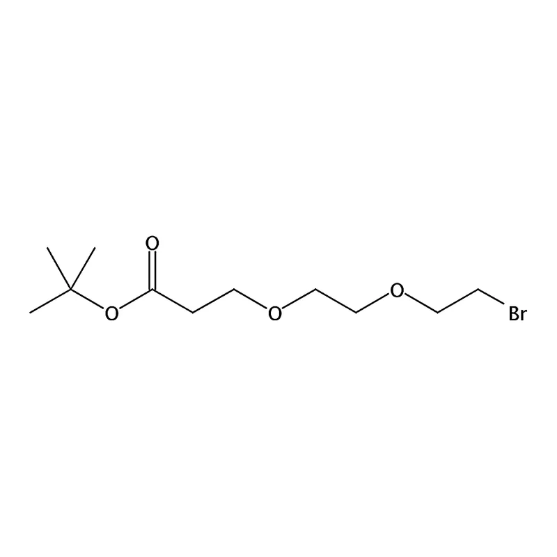 RHAWN tert-Butyl 3-(2-(2-bromoethoxy)ethoxy)propanoate