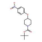 RHAWN tert-Butyl 4-(4-nitrophenoxy)piperidine-1-carboxylate