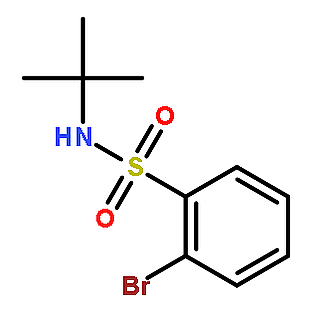 RHAWN 2-Bromo-N-tert-butylbenzenesulfonamide