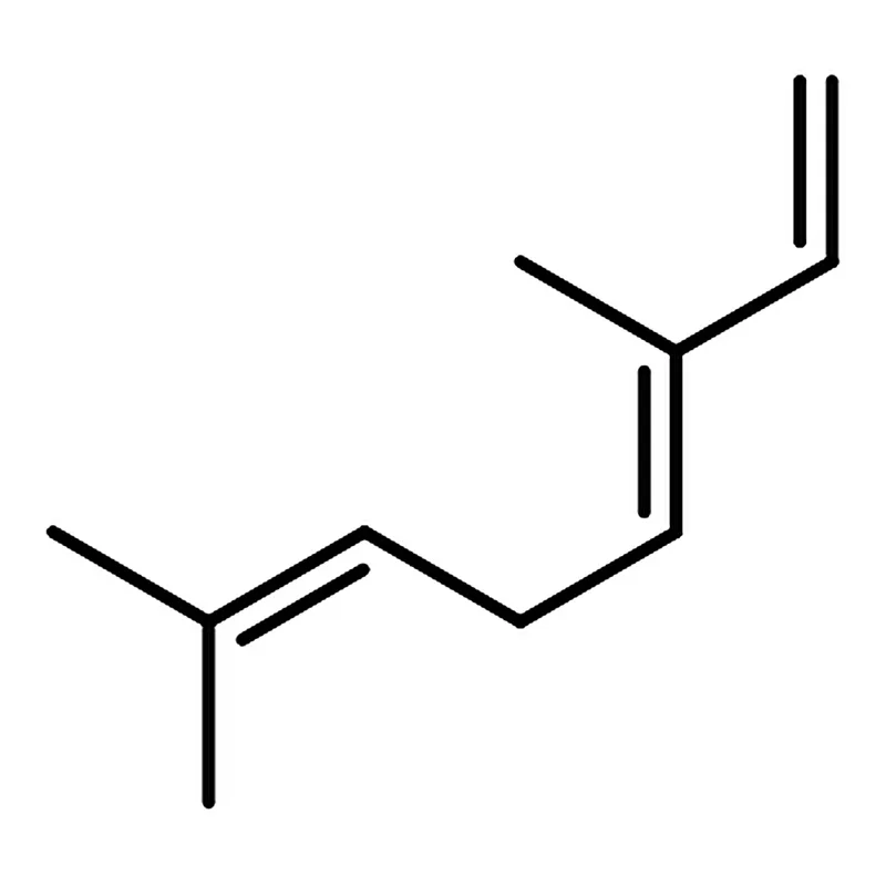 RHAWN Ocimene