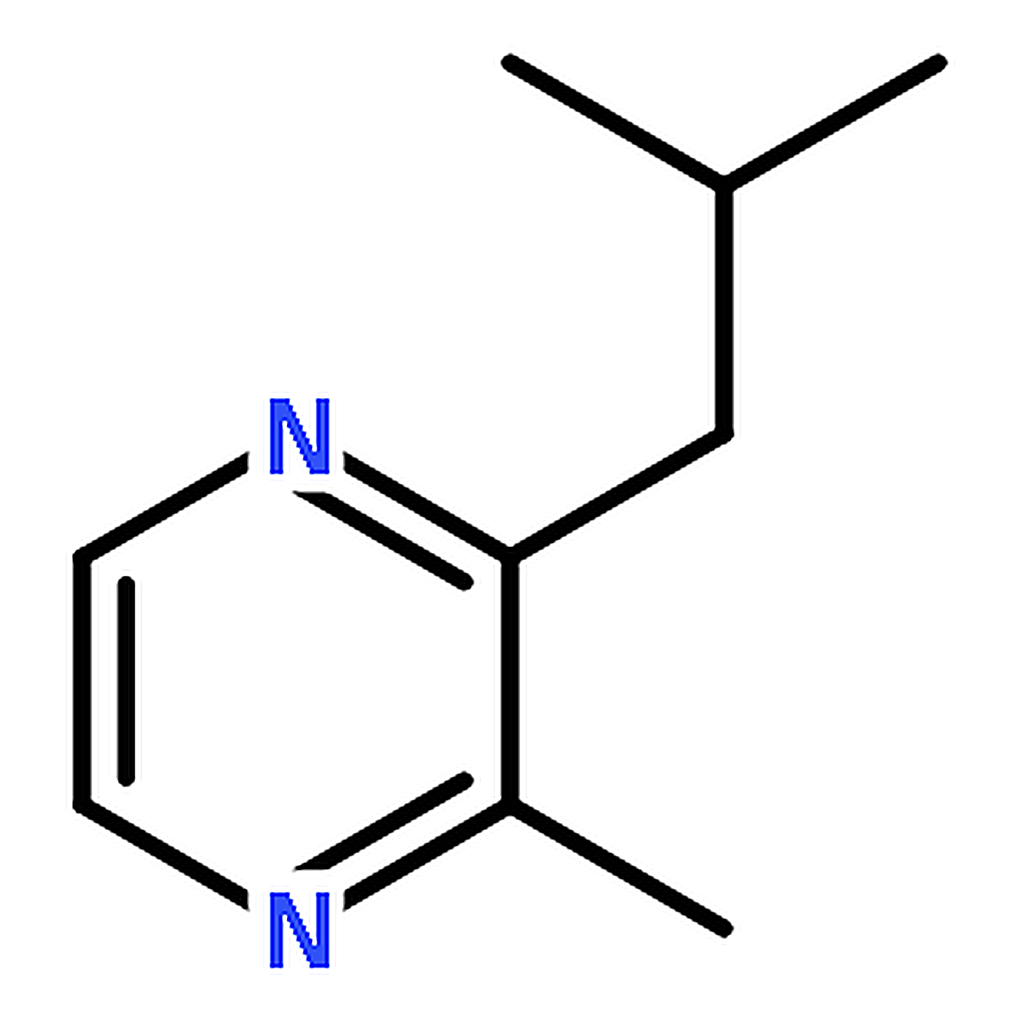 RHAWN 2-Isobutyl-3-methylpyrazine