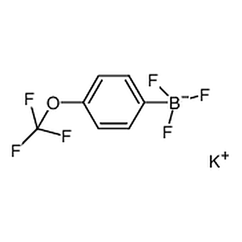 RHAWN Potassium4-(trifluoromethoxy)phenyltrifluoroborate