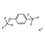 RHAWN Potassium4-(trifluoromethoxy)phenyltrifluoroborate