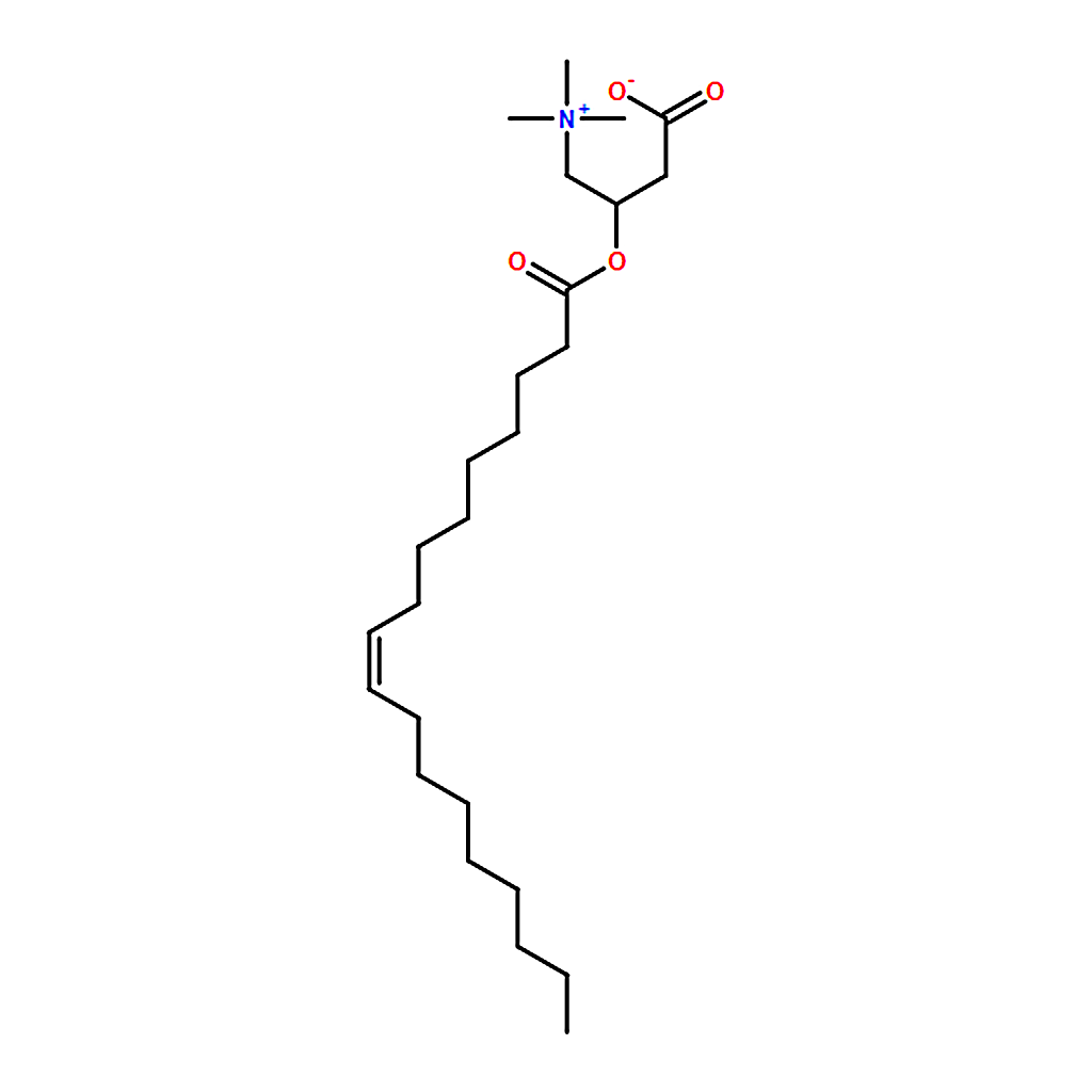 RHAWN oleoyl L-carnitine